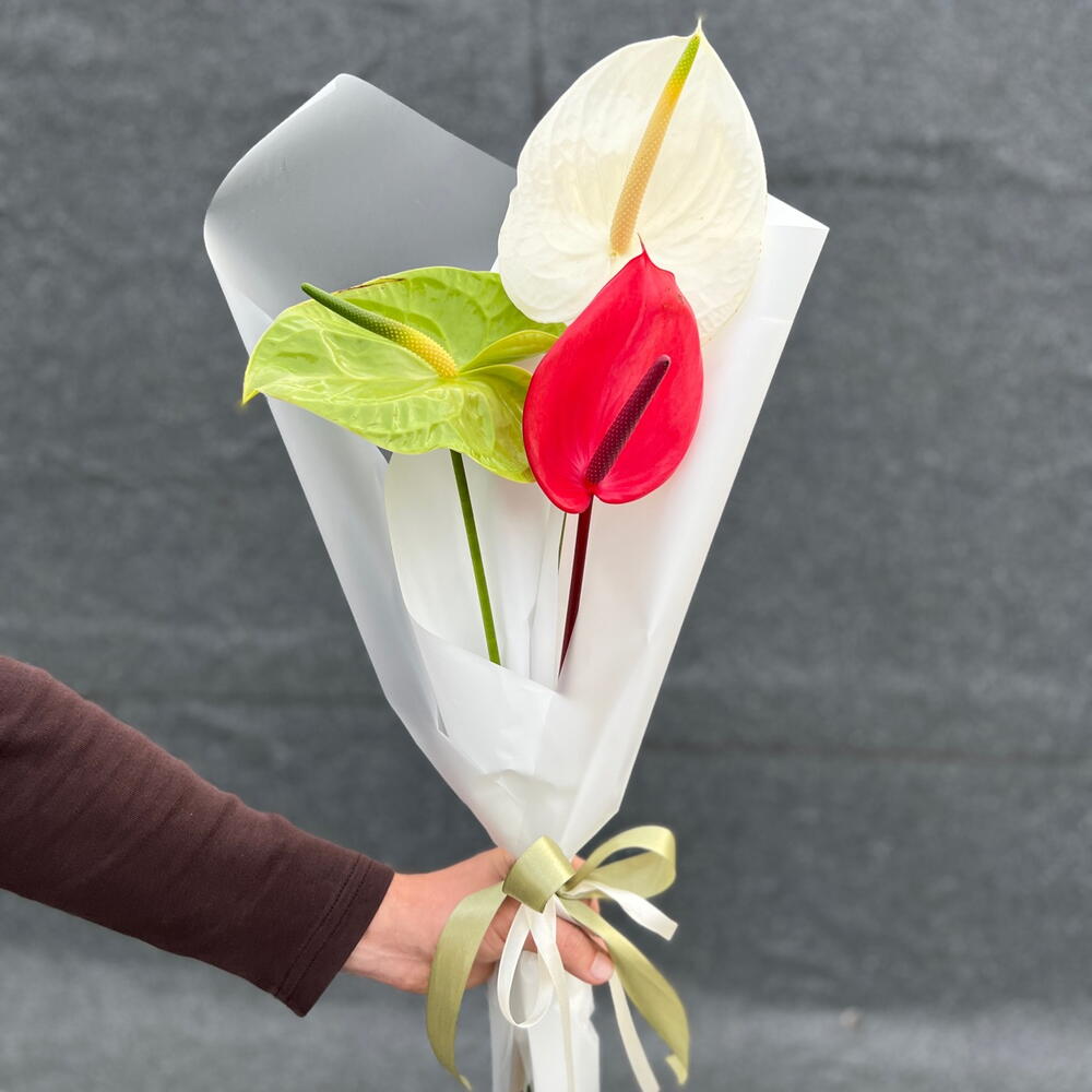 Anthurium